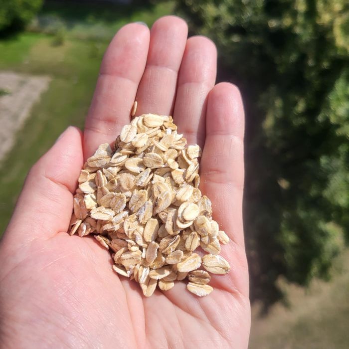 Płatki zbozowe BIO paszowe