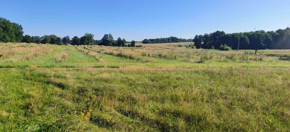 Działki budowlane Świeszyno – cisza, spokój, dojazd