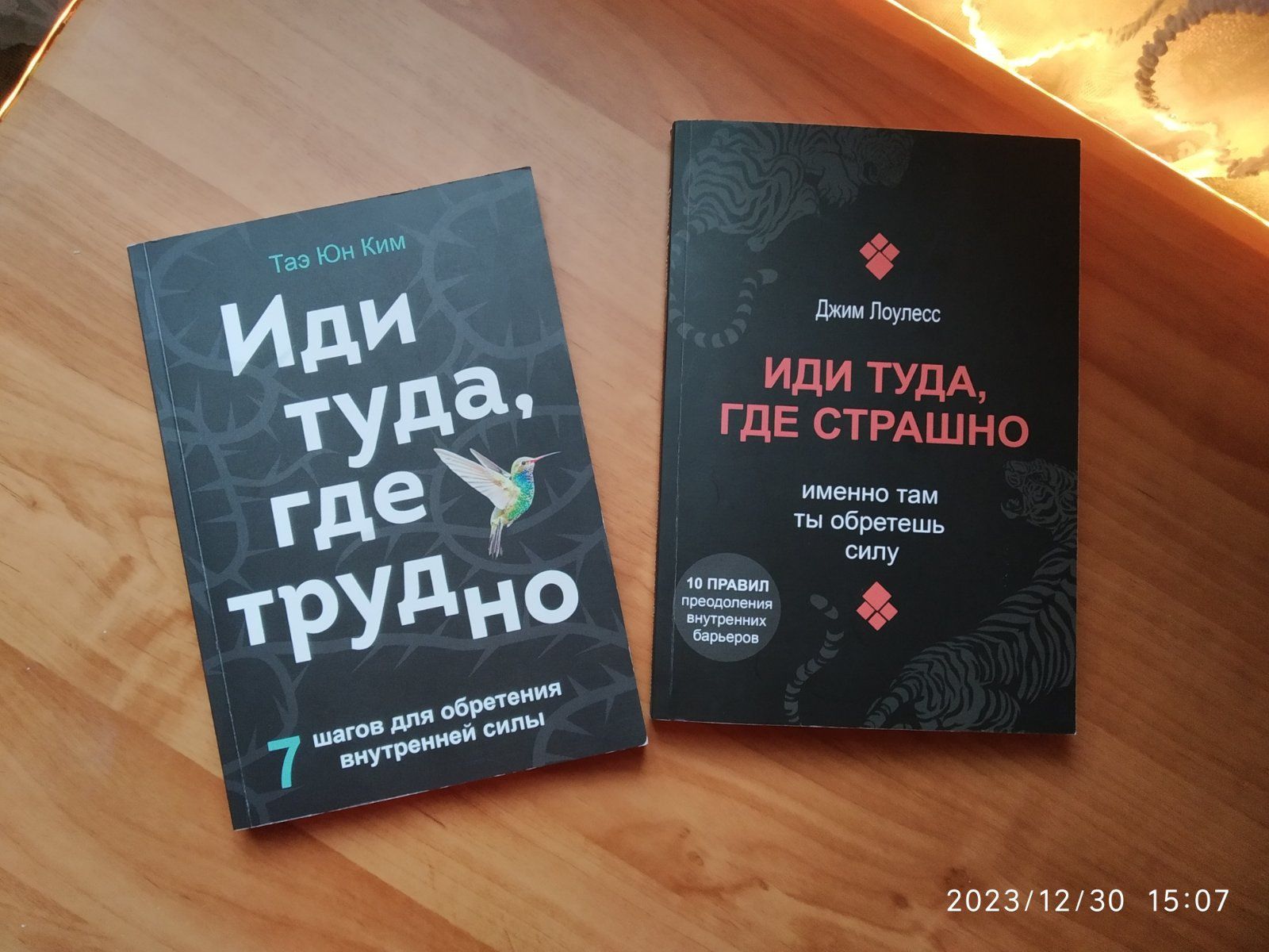 Книги "Иди туда, где страшно" і "Иди туда где трудно"