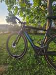 Specialized 2021 Forest Green/ Chameleon Creo SL Expert Carbon Evo