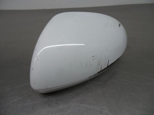 Capa do retrovisor / espelho esquerda RENAULT Megane IV (B9A/M_)