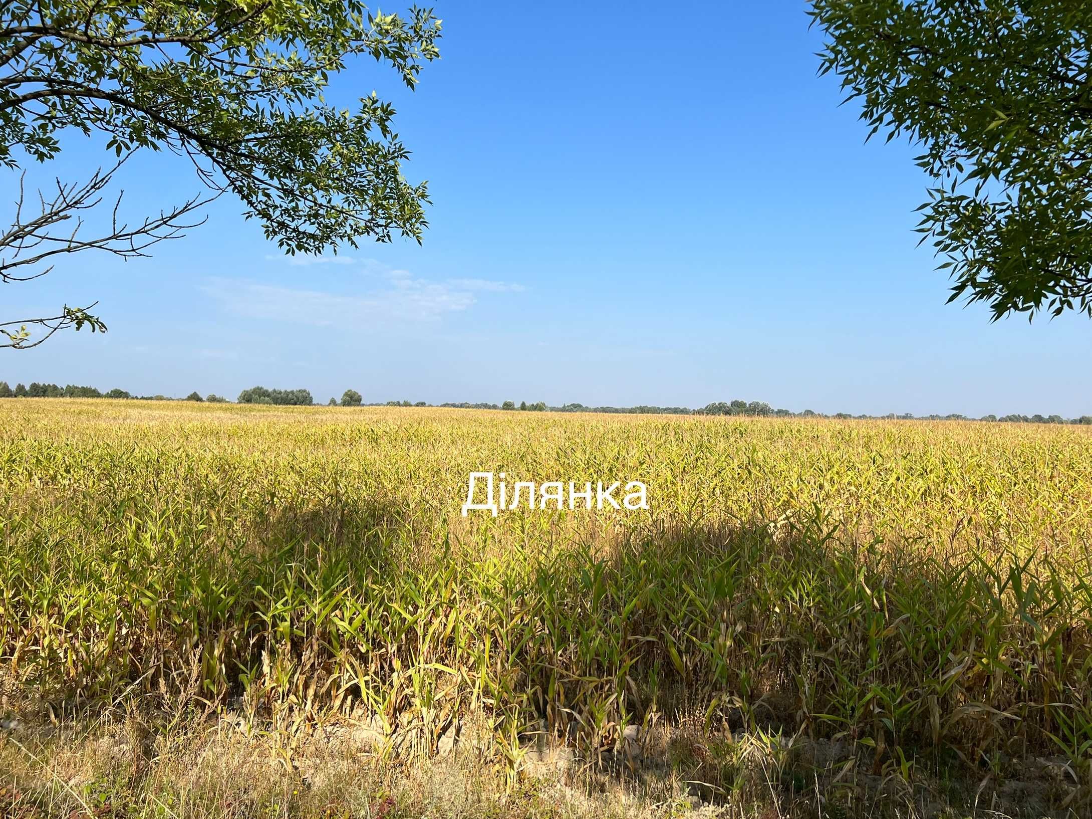 Дударків Фасадна ділянка 1 га