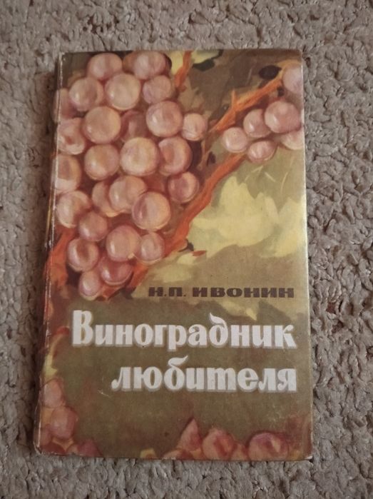 Виноградник любителя Н.Ивонин 1967г.