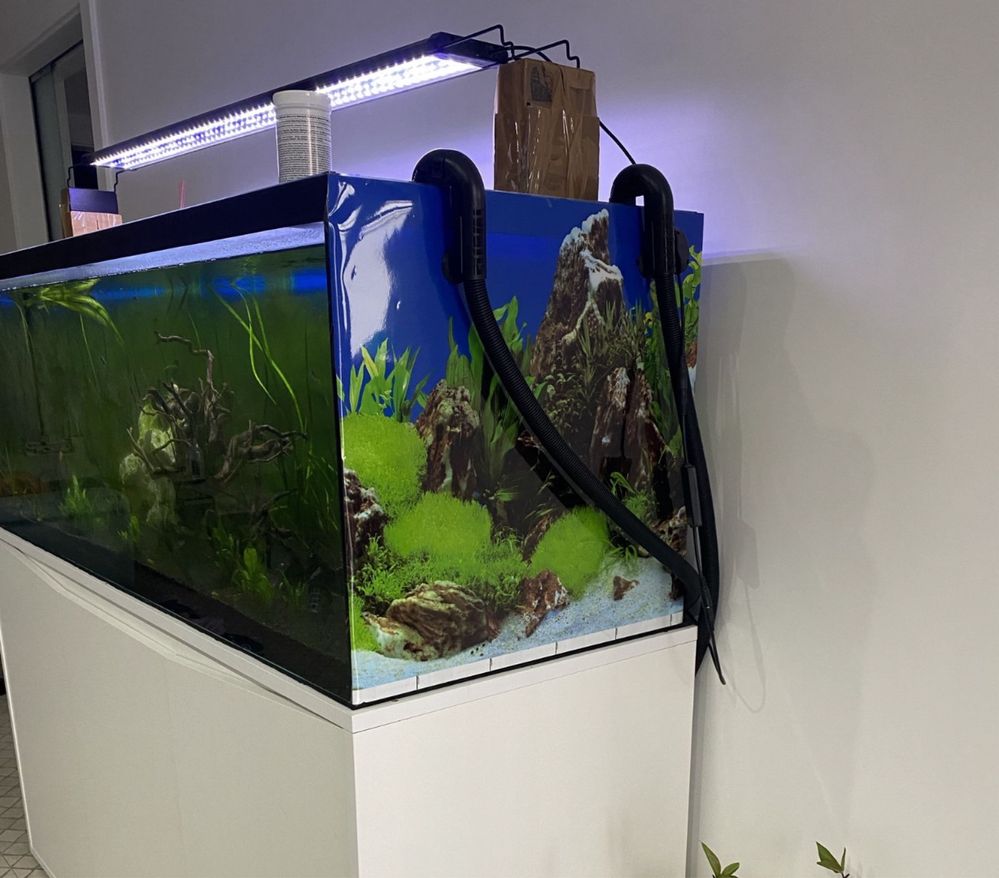 Aquario com travamentos de 375L