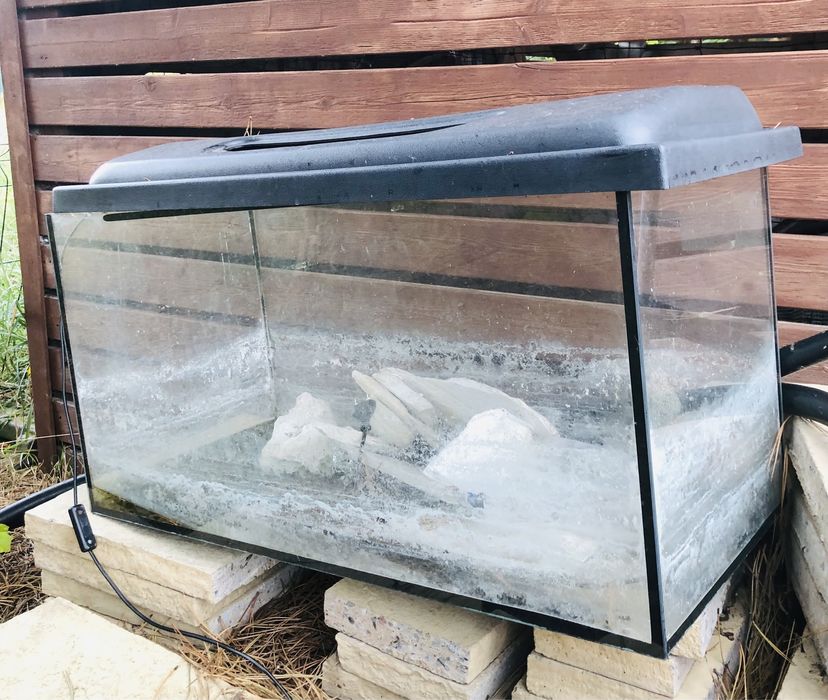 Akwarium terrarium dla rybek 2 szt. Oblasy, Janowiec, Puławy