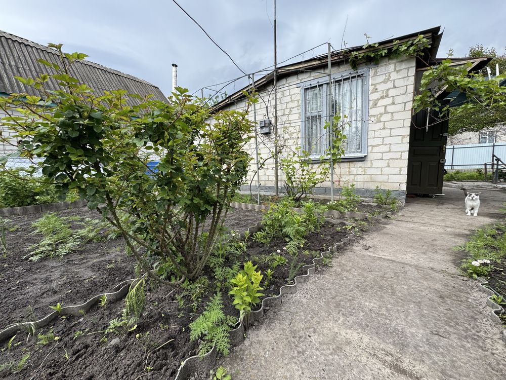 Продам дачний будиночок в садовому товаристві с. Благодатне