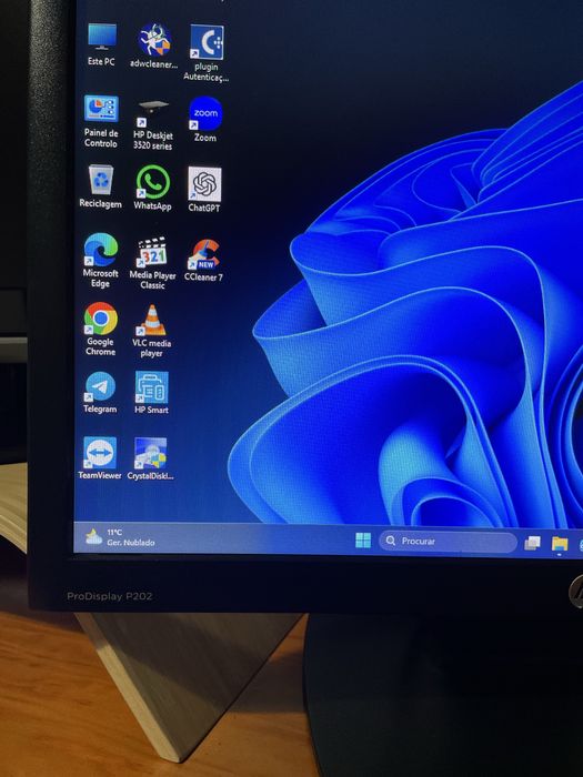 Monitor de 20 polegadas HP ProDisplay P202