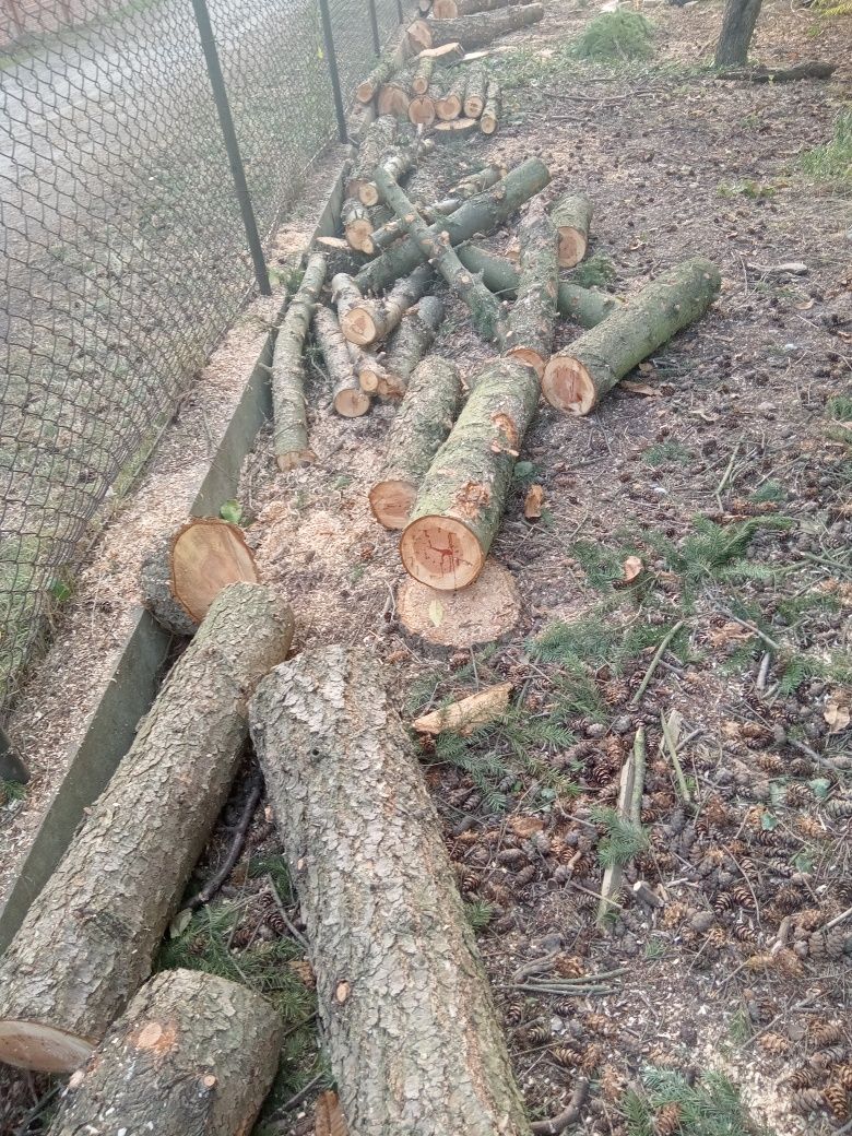 Drewno świerkowe pocięte 100-140 cm, ok. 4 mb