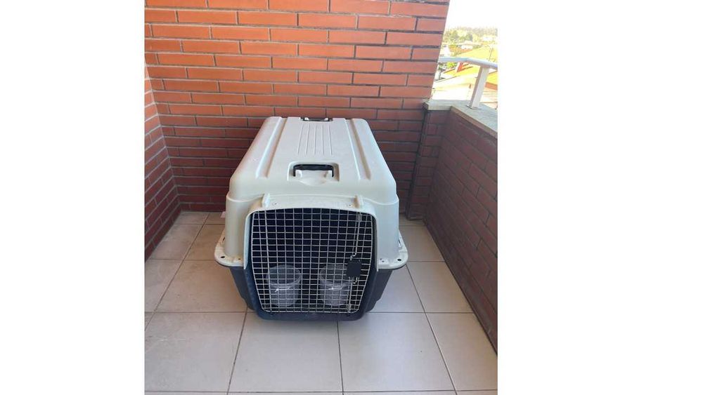 Caixa nova de Transporte para Cães