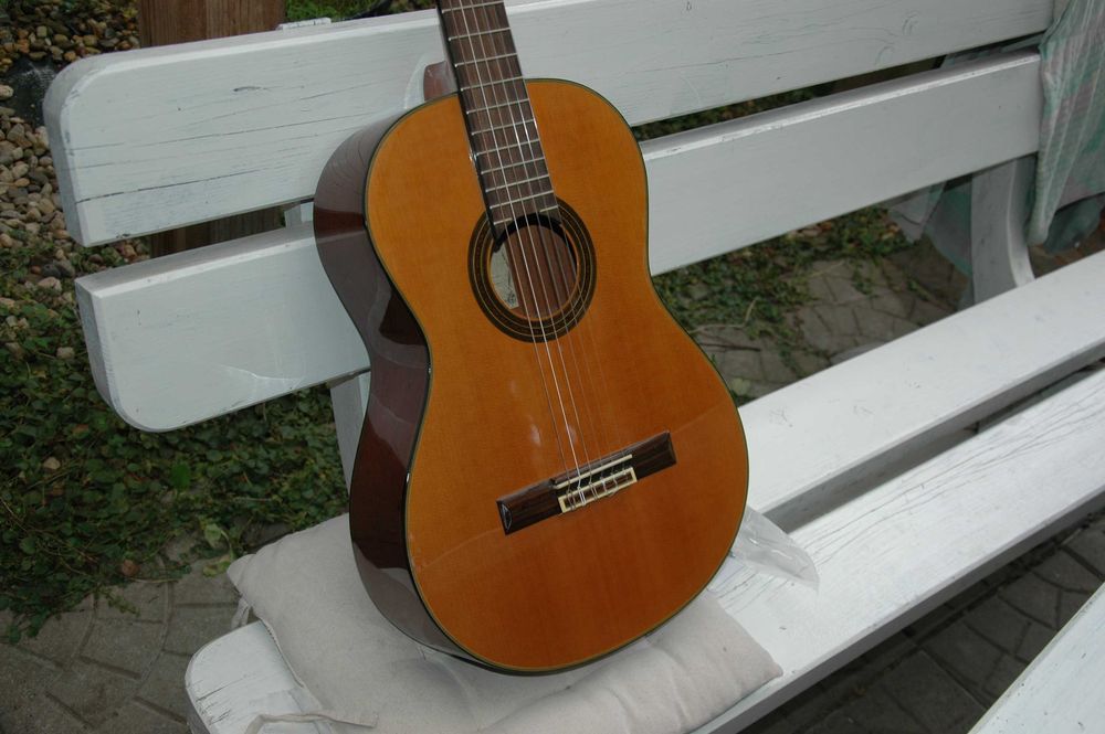 gitara klasyczna Aria