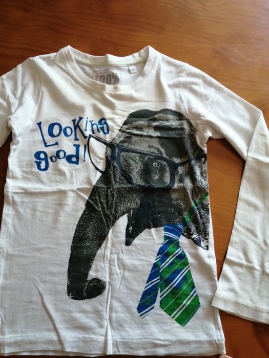 Camisolas menino 7 /8 anos