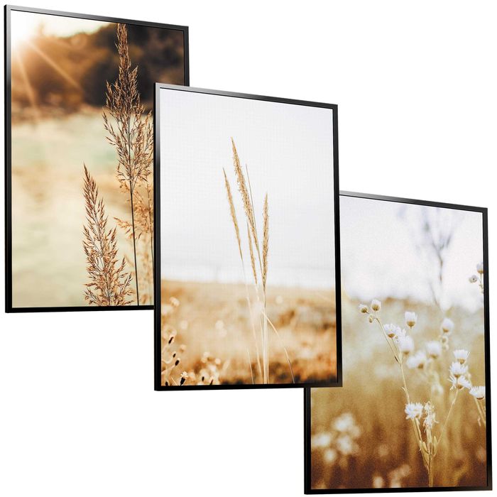 50x40 obrazy w ramie plakaty ramka TRAWA PAMPAS ŁĄKA NATURA BOHO