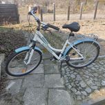 Rower damski Kross