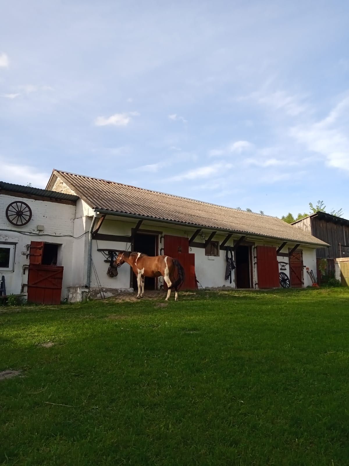 Wynajmę Domek na Majówkę - Wola Wereszczyńska Gospodarstwo Agro