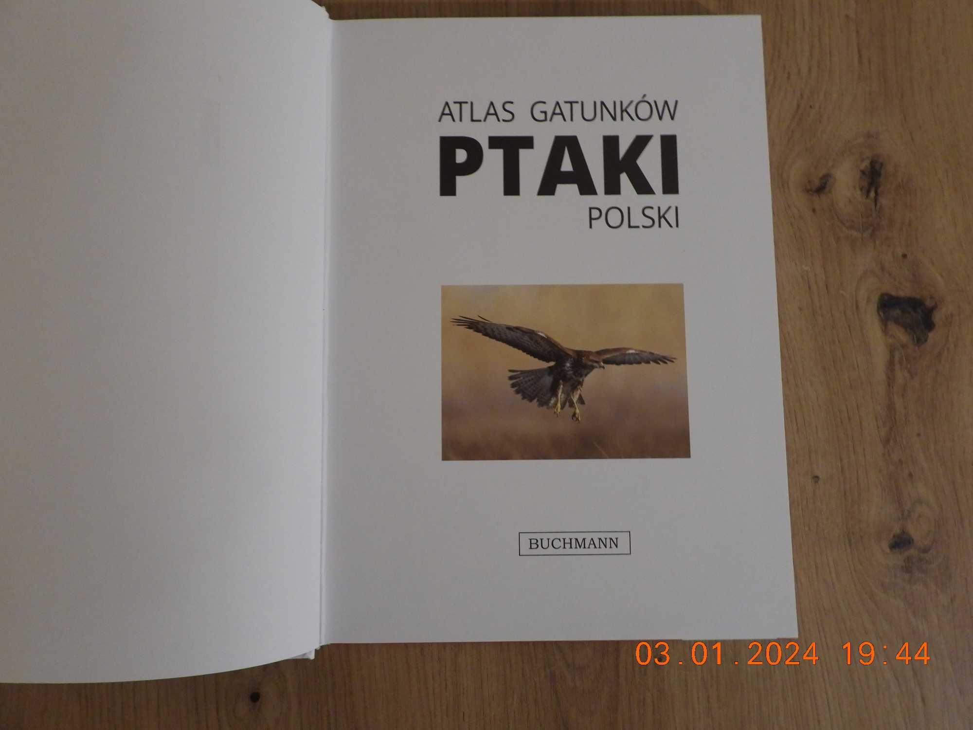 Atlas gatunków. Ptaki Polski.  -Praca zbiorowa  NOWA