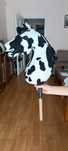 Hobby Horse A3 konik