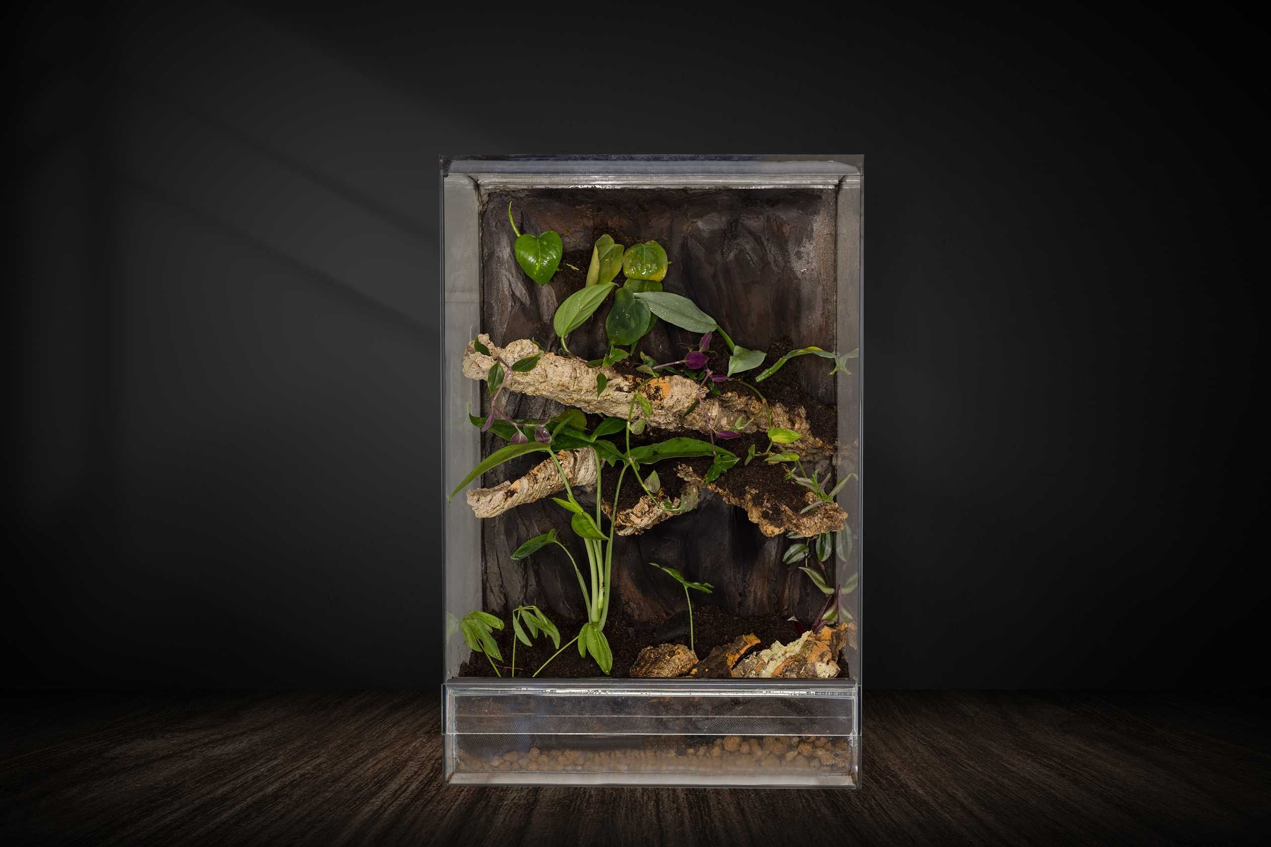 terrarium tropikalne 40x40x60