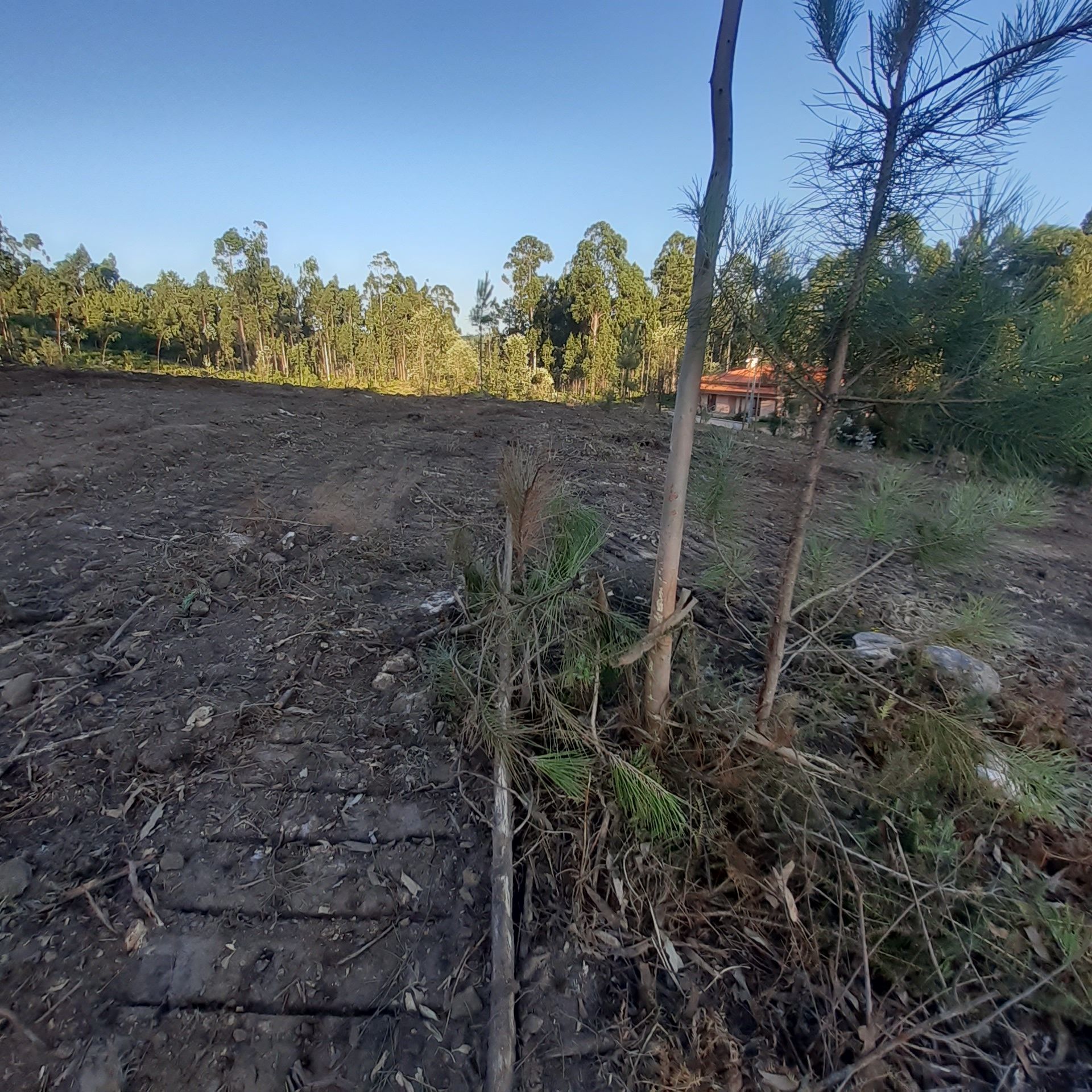 Terreno de construção para venda em Vila cova perto de Esposende