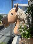 Hobby horse, konik na kiju