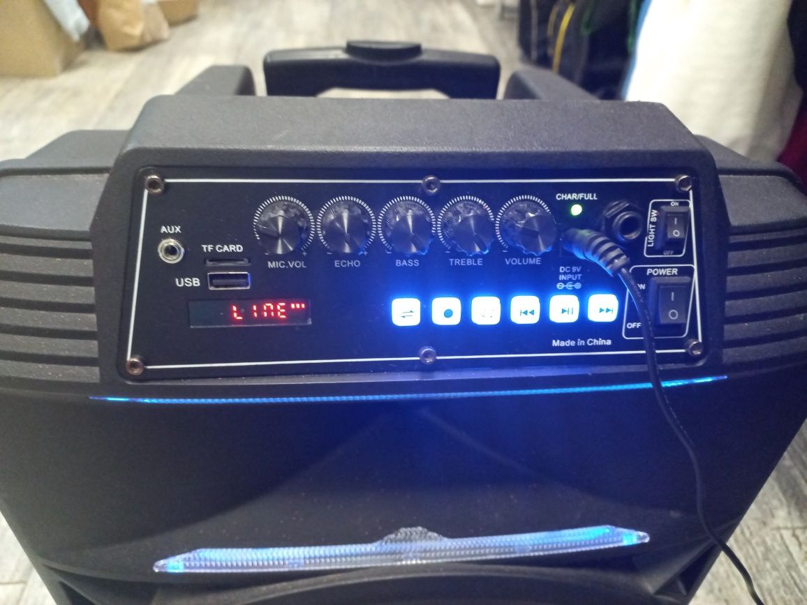 Автономна акустична система BIG 310BAT,  два радіо мікрофона, караоке