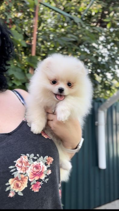 Суперові дівчатка та хлопчики. Без недолікіа