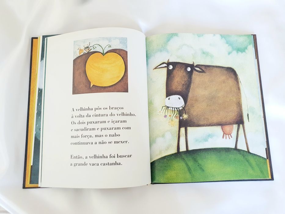 NOVO - Livro "Enciclopédia dos Porquês.."