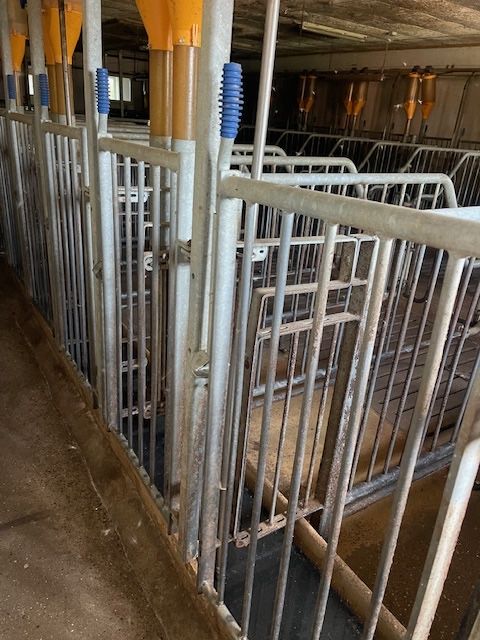 Bramki - BRAMKA + SŁUPEK - furtka 60 cm szerokości  - ULICZKA