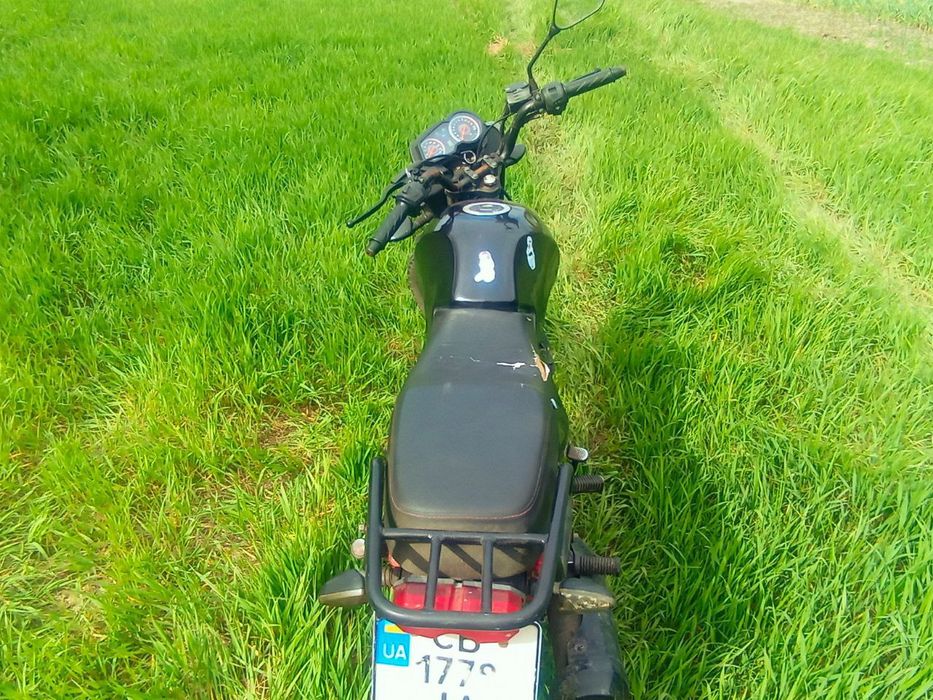 Продам Mustang foxi