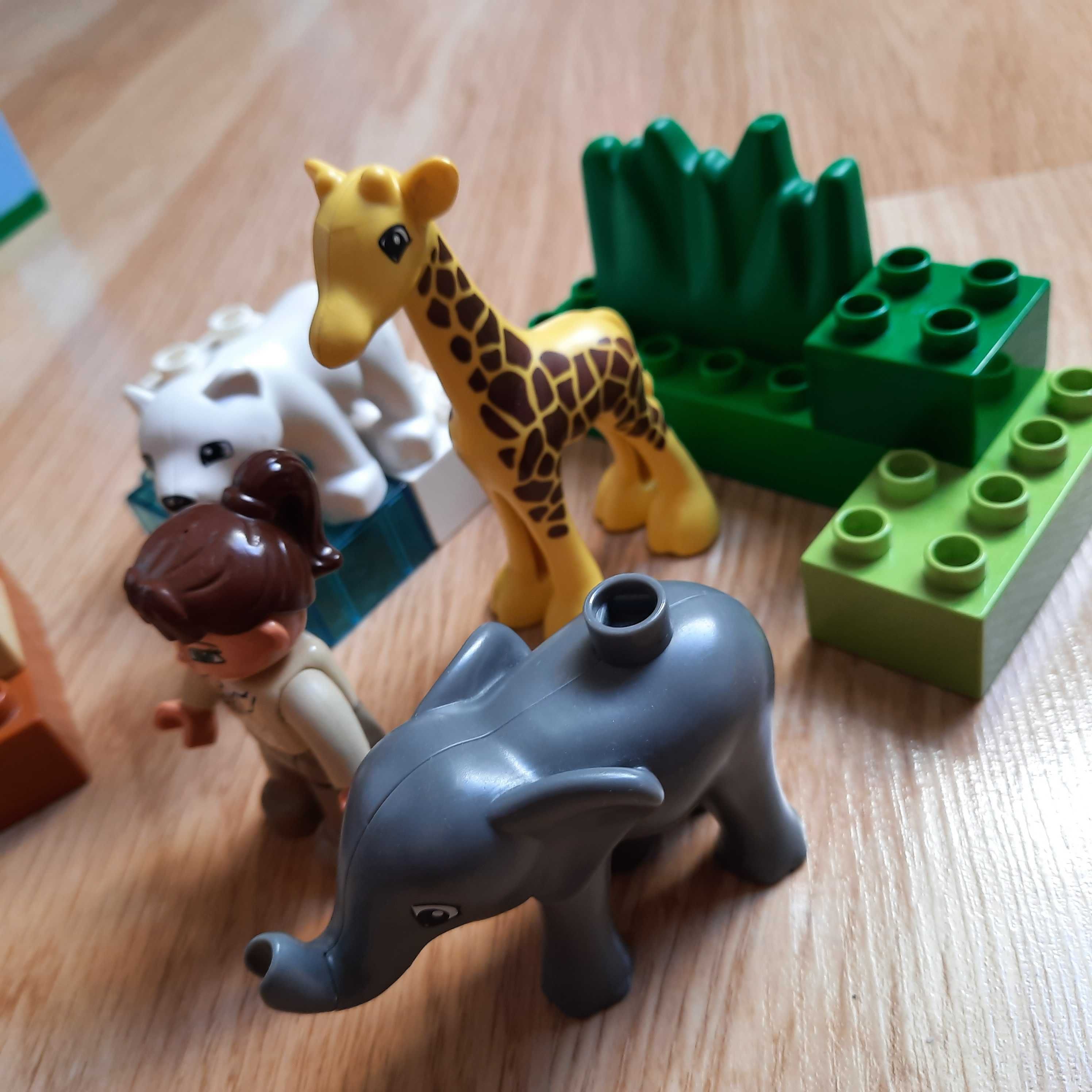 Zestaw Lego DUPLO Male zoo