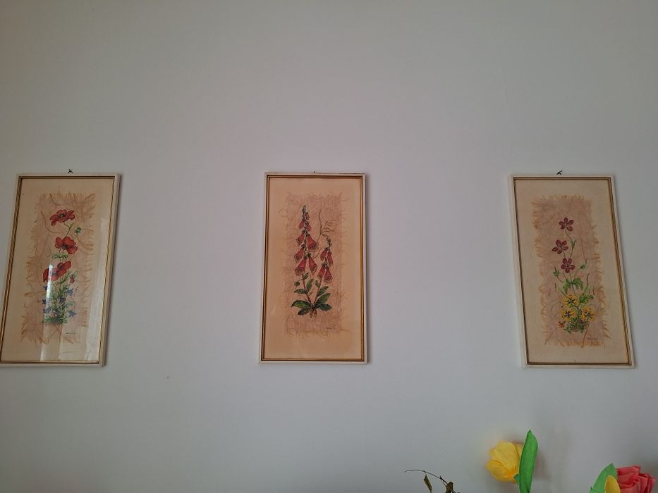 Obrazy 3 sztuki 37x20cm