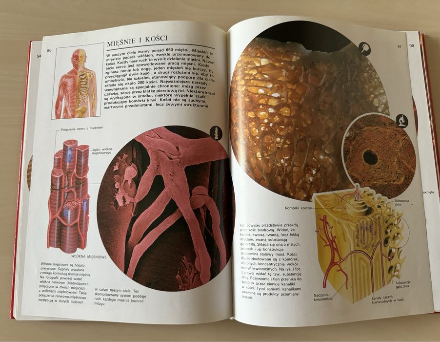 Świat pod mikroskopem