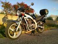 Suzuki Gs 500 de 2003