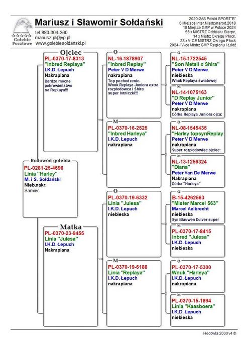 Gołębie Pocztowe - I.K.D. łepuch