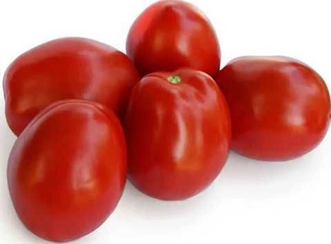 Семена томатов (помидор) Дерика F1