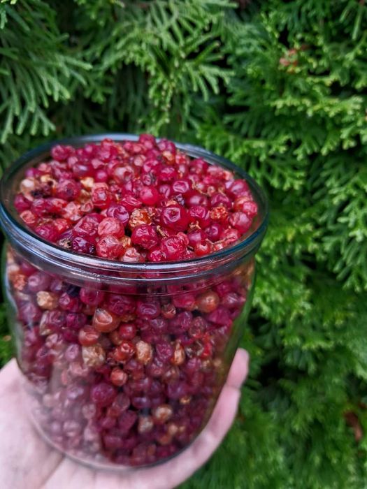 Карпатська Чорниця(Яфина )Брусника, Журавлина, Ожина ( Ежевика)