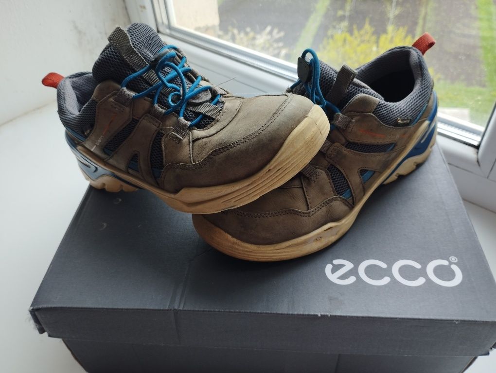 Кросівки ecco 35