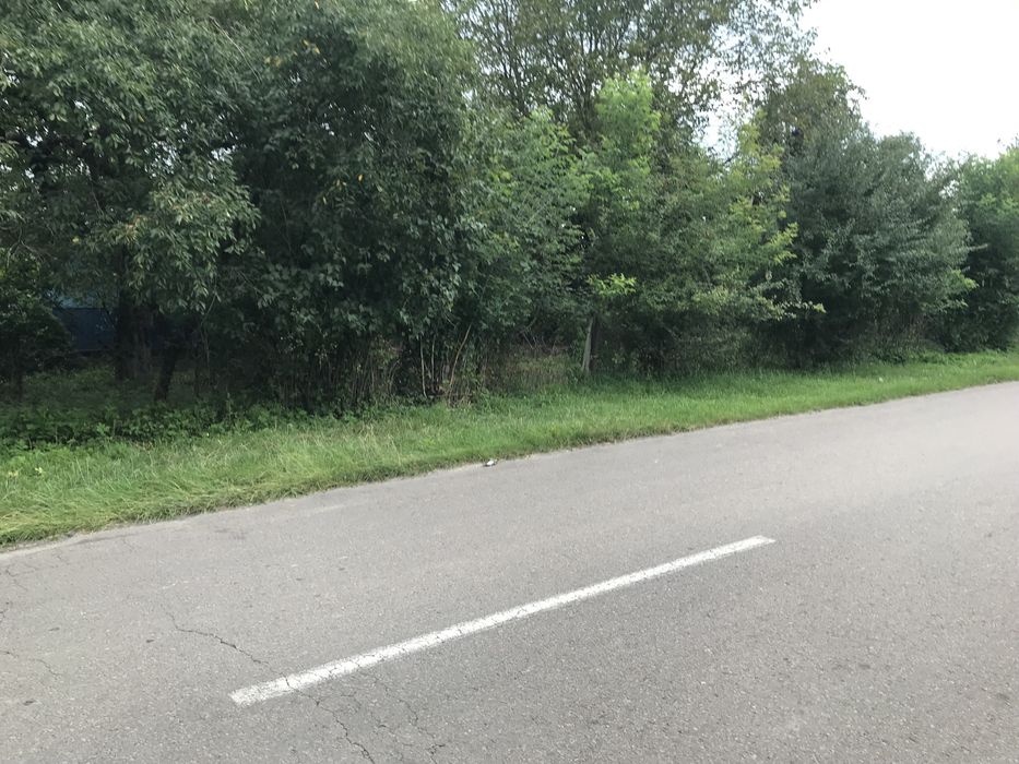 Продається бутинок село Шостаків
