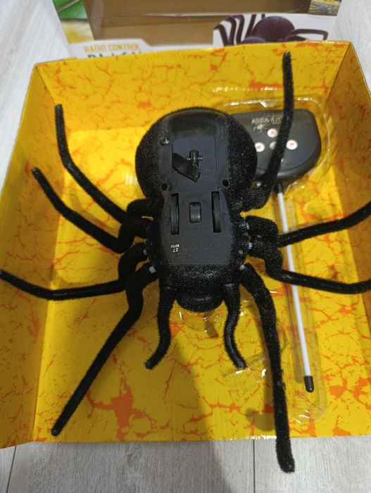 Pająk tarantula zdalnie sterowany