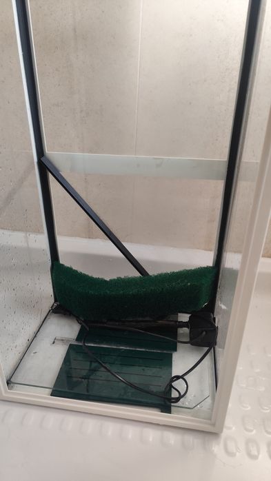 Terrário tartaruga grande ou repteis