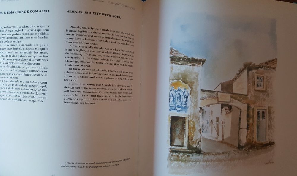 Carlos Canhão e Maria Rosa Colaço - Almada, uma gaivota no vento