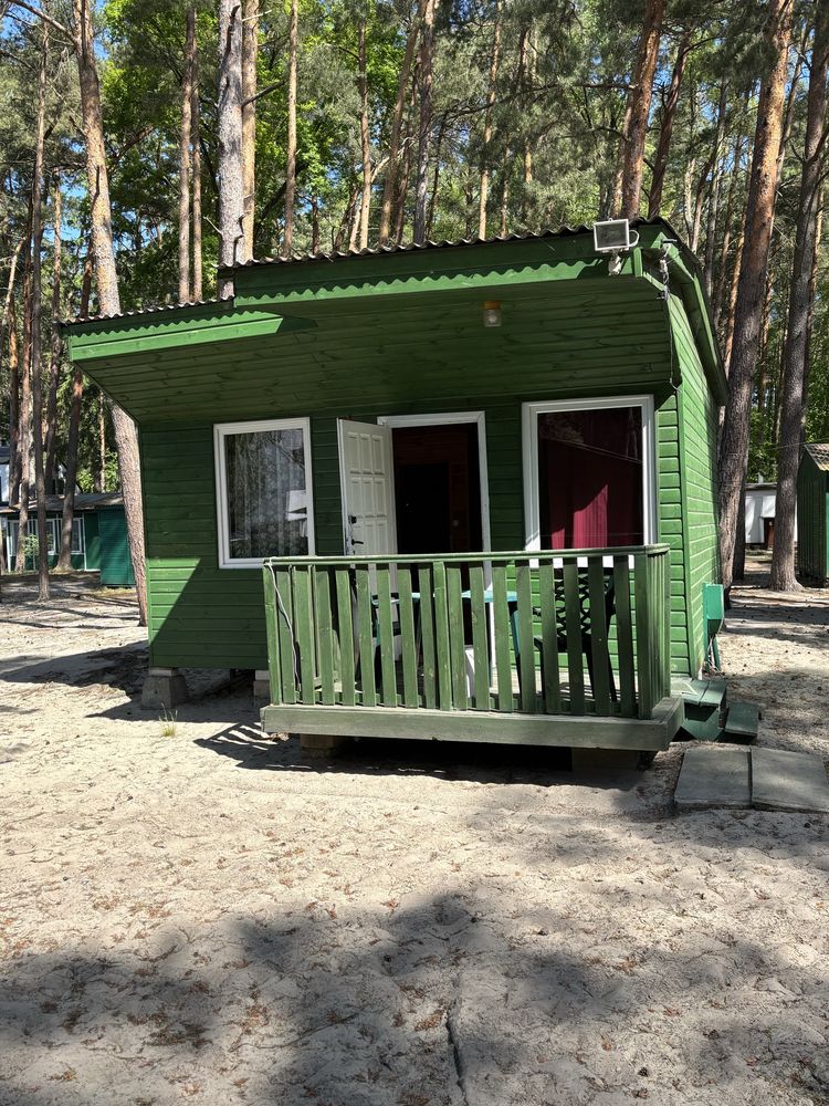 Domki do wynajecia nad morzem wakacje wczasy urlop plaża kwatery pokoj