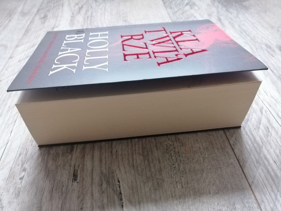 Klątwiarze Holly Black