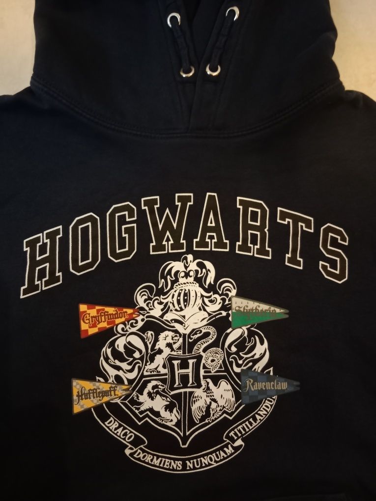 bluza Hogwarts z kapturem