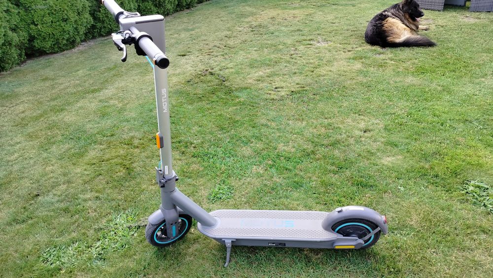 Hulajnoga Motus scooty 10