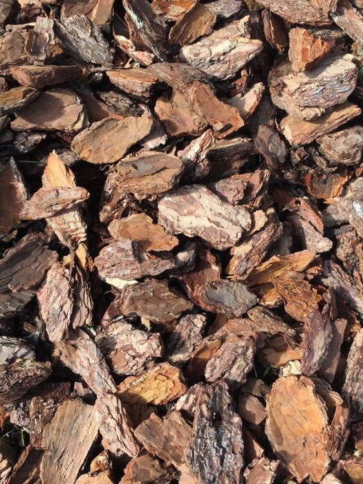 Kora sosnowa Sortowana świeża pachnąca promocja -Buk - okolice