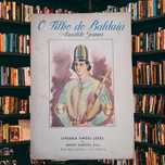 Livro: o filho de Baldaia