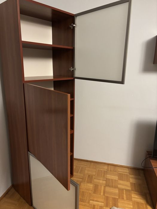 Witryna klasyczna – fornirowana, szkło matowe