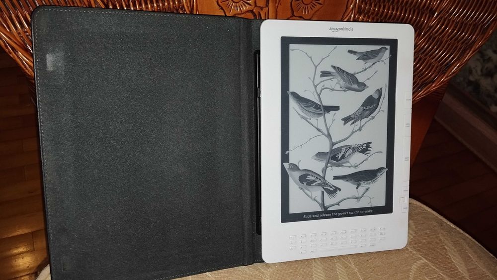 Amazon Kindle DX 10" электронная книга,E-ink чернила,чехол,новый аккум
