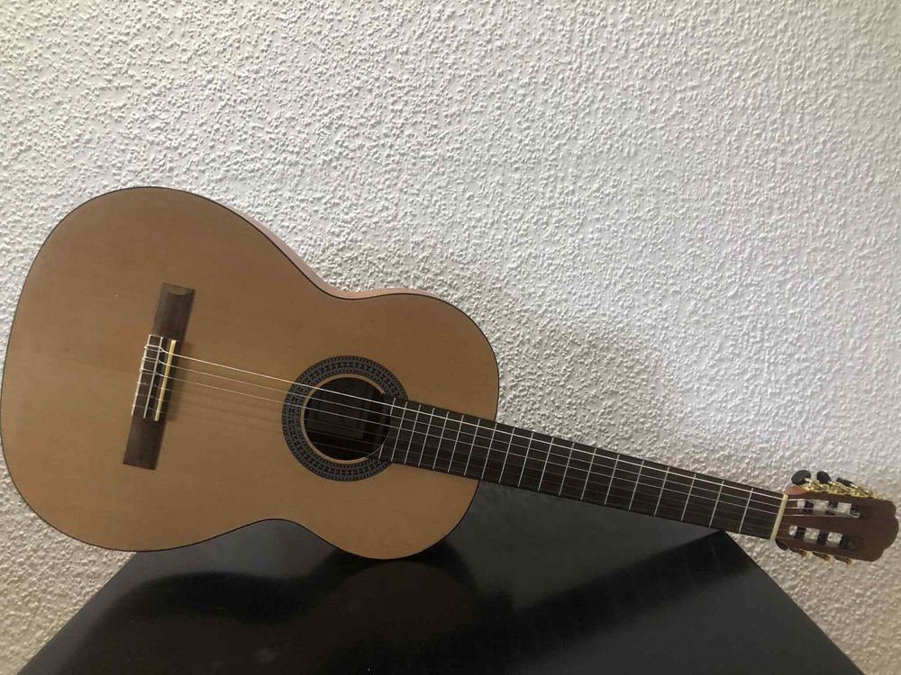Gitara Salvador cs-244