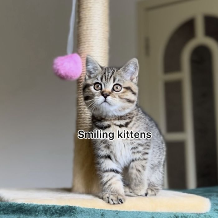 Малюки з красивими візерунками